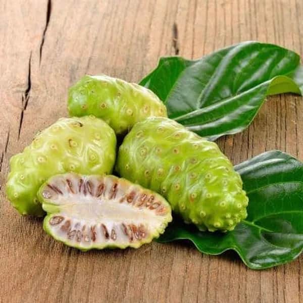 Noni Frucht - Immunabwehr 