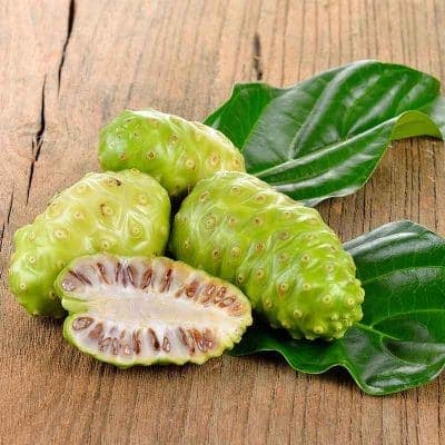 Noni Frucht - Immunsystem